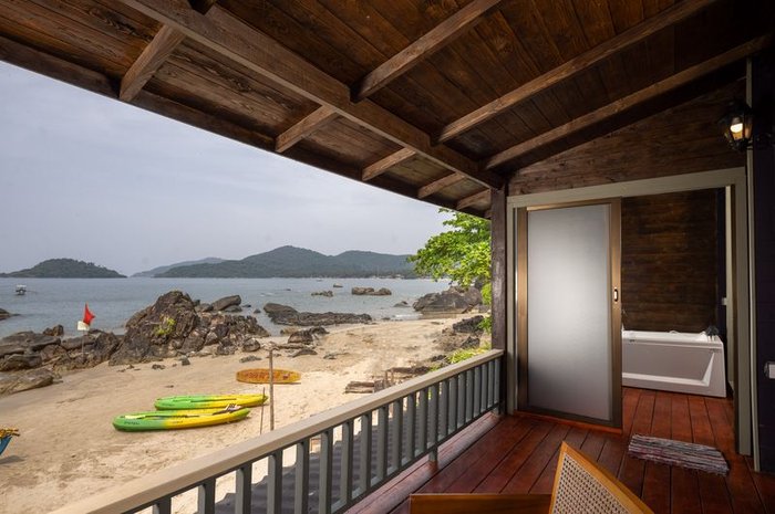 Ark Abundance - Image 8