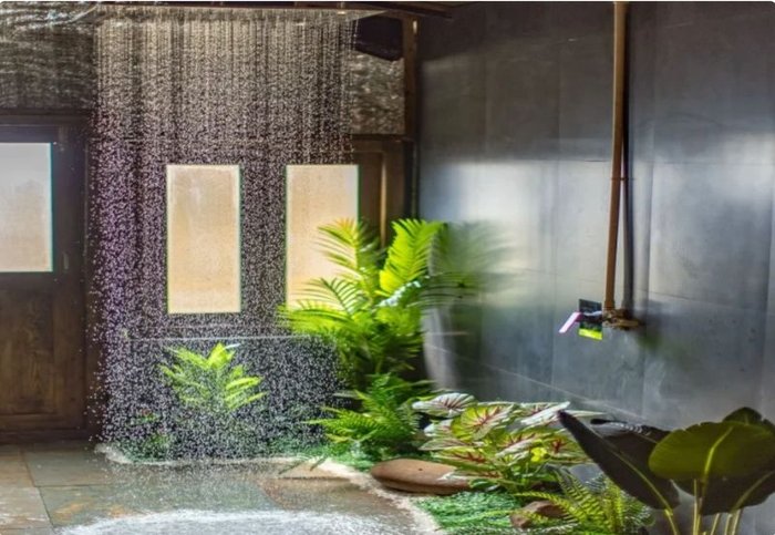 Ark Calmness - Image 4